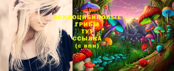 PSILOCYBIN Бронницы