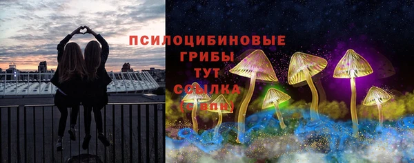 наркотики Болотное