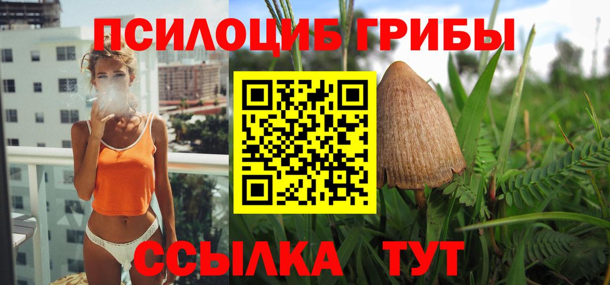 Псилоцибиновые грибы GOLDEN TEACHER Дагестанские Огни