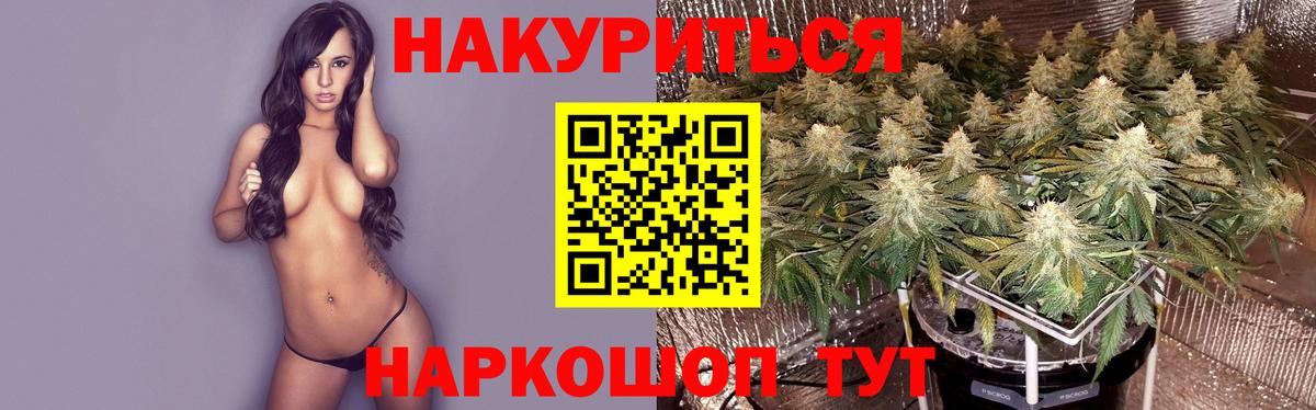 Дагестанские Огни  МАРИХУАНА сатива  Вход с VPN  Канабис White Widow 